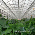 Farm steel structure greenhouse for plant